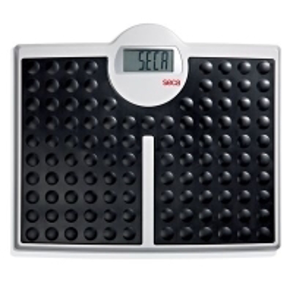 Picture of Scale Digital Seca 813 200kg