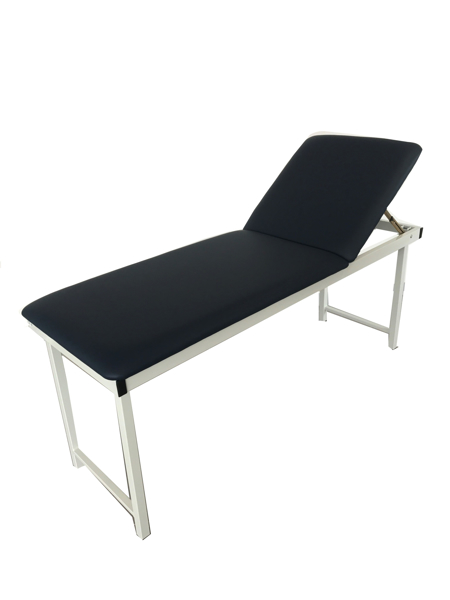 Picture of Exam Couch Blue Pacific Medical